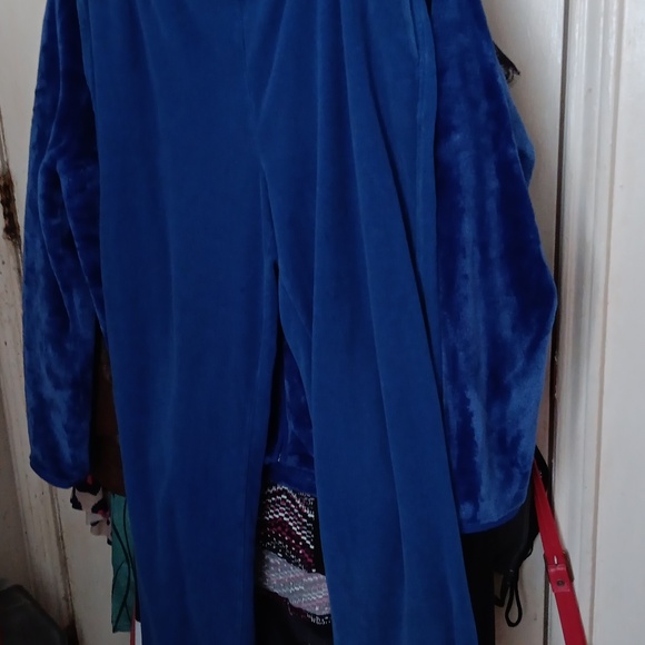 Allison Daily pants sz 14, a deep blue color. - Picture 3 of 3